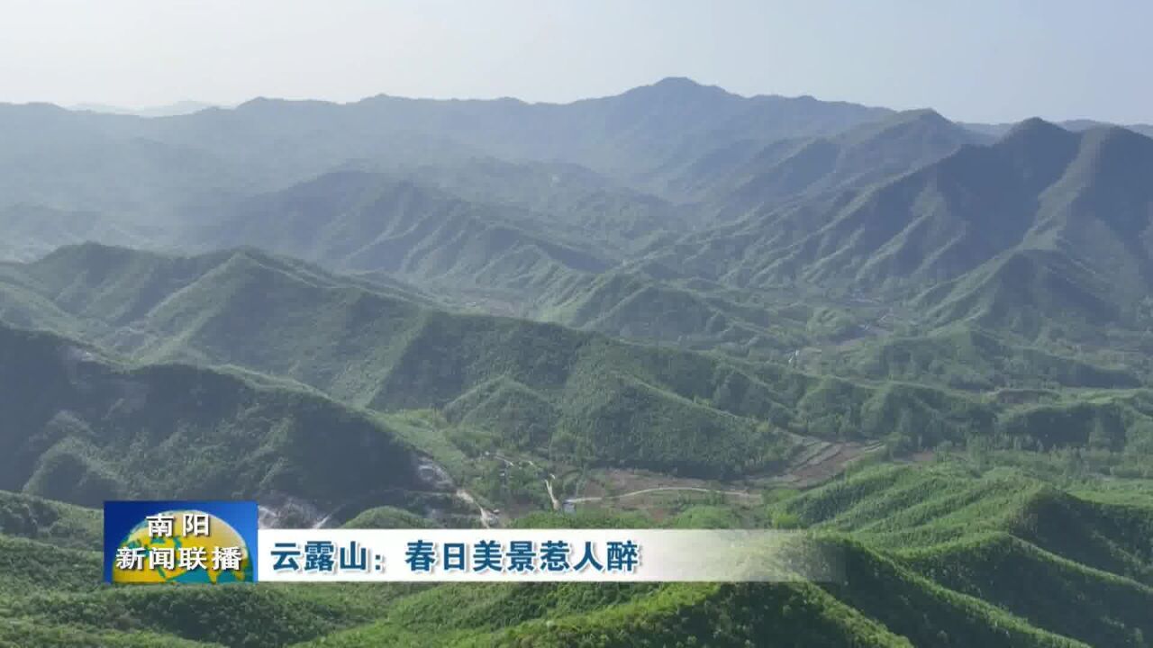 南阳云露山:春日美景惹人醉