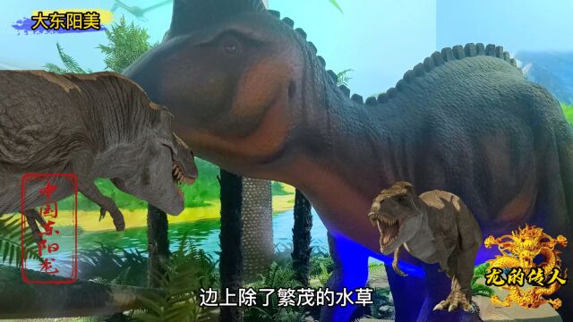 “中国东阳龙”8500万年前东阳是一个神秘的“恐龙王国乐园”