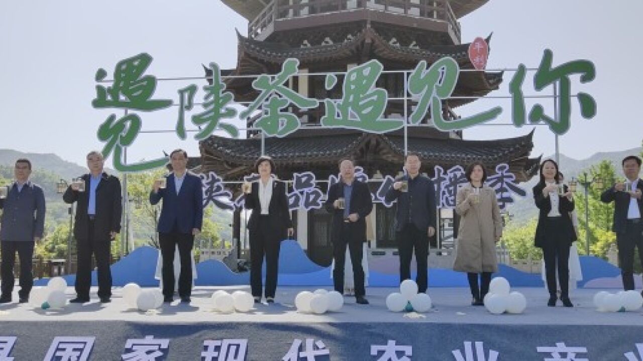 茶旅融合助力乡村振兴!第四届陕西网上茶博会平利县