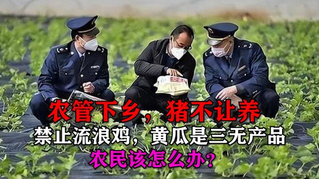 农管下乡,猪不让养,黄瓜是三无产品,禁止流浪鸡,农民该咋办?