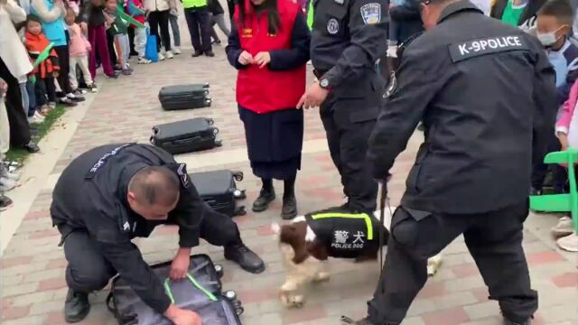 【警察故事】又猛又萌,警犬在这里大秀“绝活”