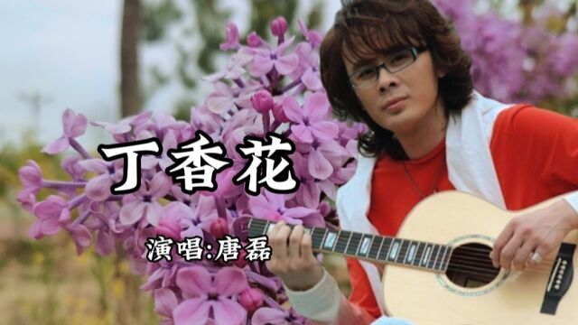 《丁香花》一首悲伤凄凉的歌曲,表达了对逝者深深的怀念!