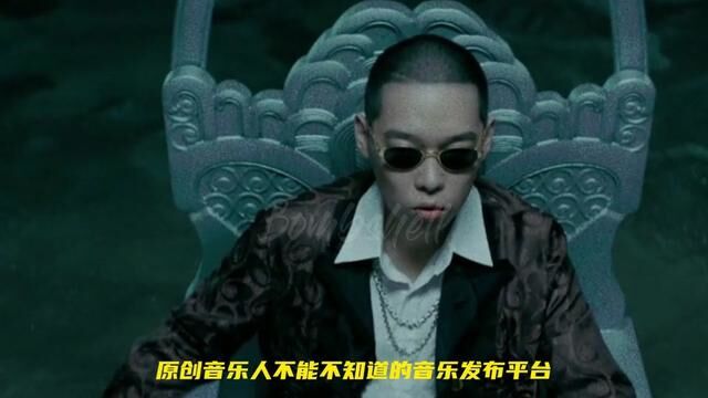 音乐人不能保不知道的音乐发布平台#秀动发行 #秀发Ace01a