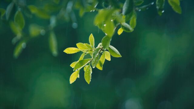 潮电新秀 逢时更新 劳伦斯ⷨŠLAURENCEⷘU2023破界ⷦ›𔦖𐧧€ #潮电新秀逢时更新 #2023北京时装周