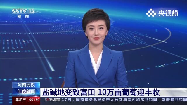 河南民权盐碱地变致富田,10万亩葡萄迎丰收