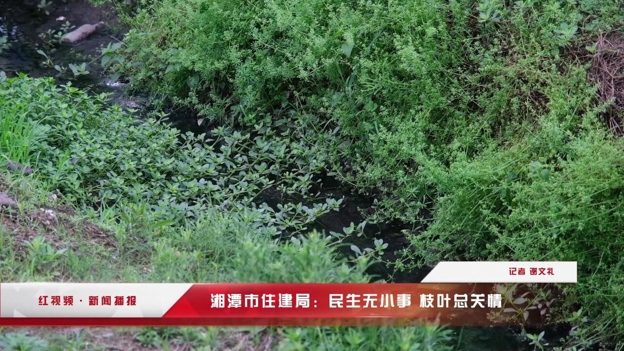 红视频丨湘潭市住建局:民生无小事 枝叶总关情