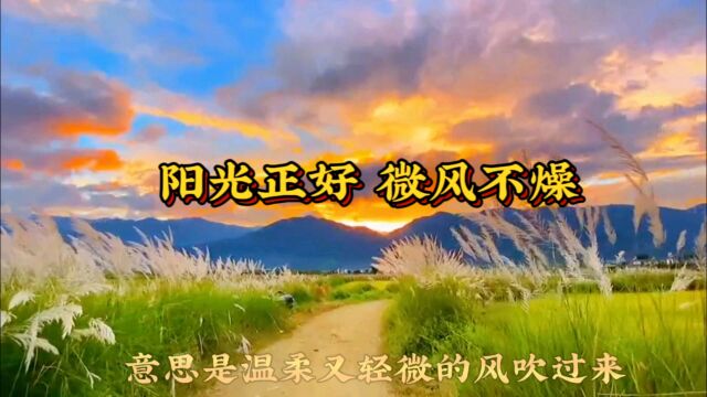 经典名曲《阳光正好微风不燥》燥热的太阳下 微风阵阵 配上绝妙音乐令人心情无比舒畅