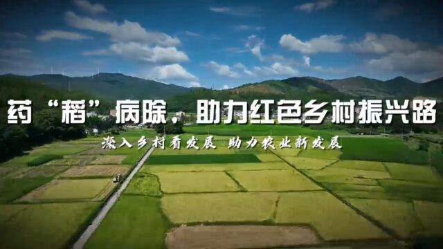 深圳大学生命与海洋科学学院广东省惠州市博罗县石湾镇药“稻”病除实践团