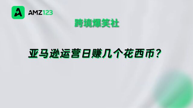 跨境爆笑社:亚马逊运营日赚几个花西币?