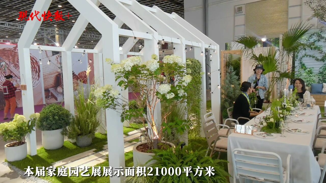 南京迎来“最美花展”,百余个新品种惊艳亮相