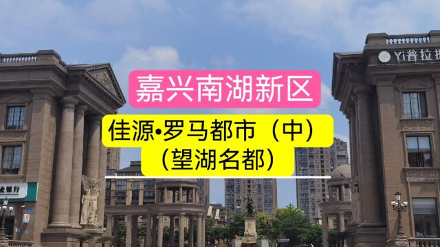 嘉兴市南湖新区罗马都市望湖名都,为啥二手挂牌降这么多?