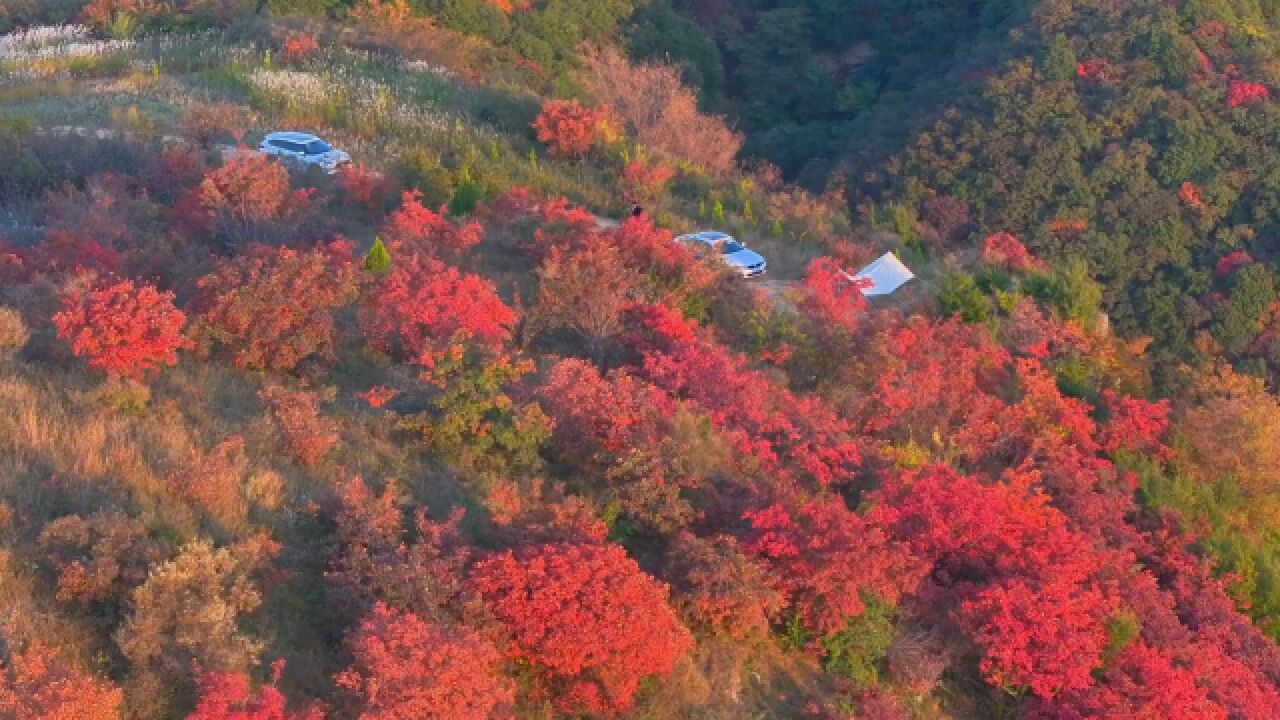 重阳登山好时节!嵩山云台山开展多种登高祈福活动