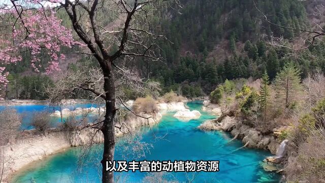 四川为什么有“天府之国”的美称?千年前古人就已经给出了答案