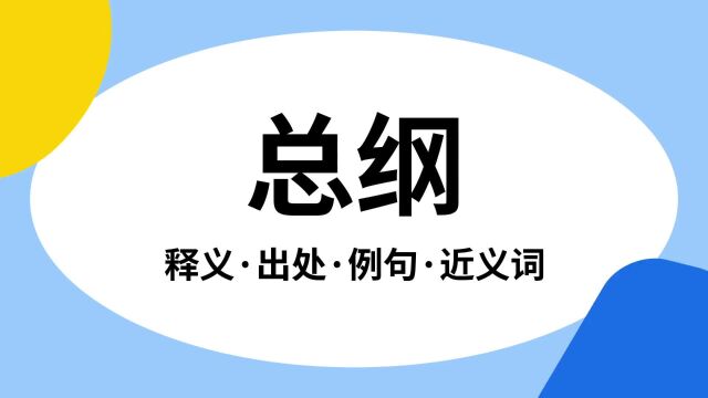 “总纲”是什么意思?