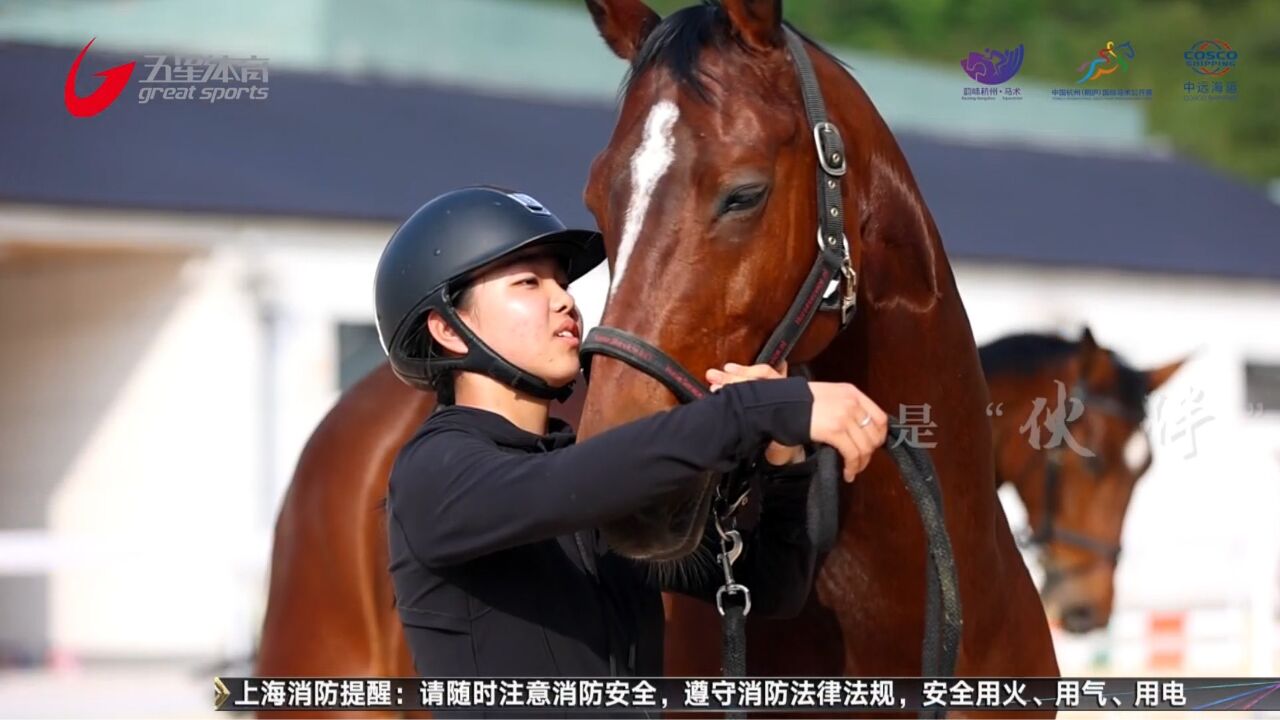 亚运马术全要素测试 各环节保障马匹福利