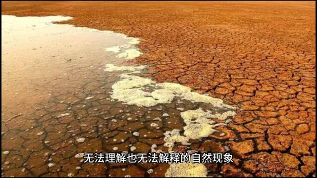 震惊中国的两次长江断流