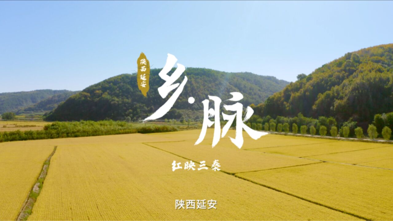 陕西|乡脉 ⷠ和美乡村万里行