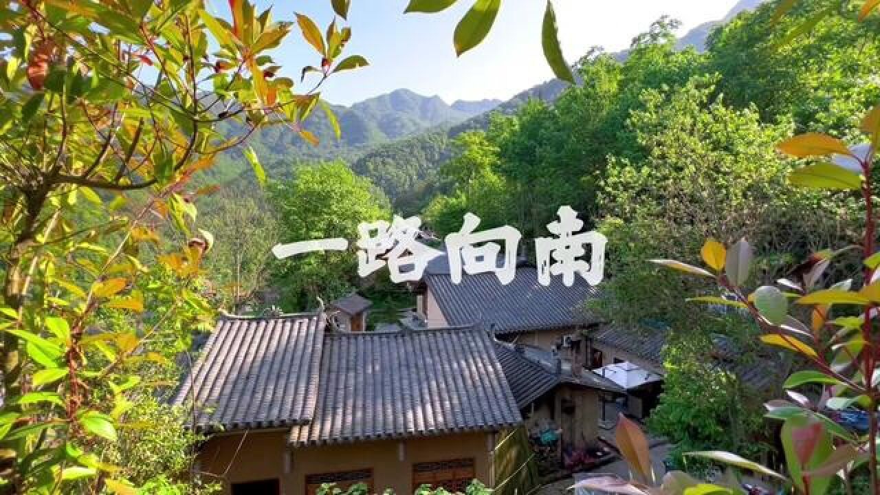 一路向南,西安开车3h,睡进大山深处的民宿,坐拥万亩森林,云海秘境处相伴~#隐藏在大山里的世外桃源 #感受大自然的气息和美景