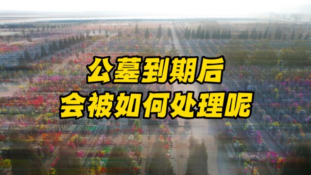 公墓到期后不续费会被如何处理呢?