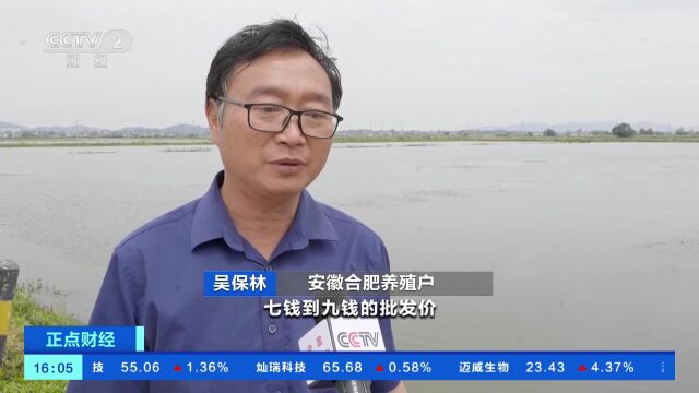 价格狂降近50%!日照人爱吃的这一口,大量上市…