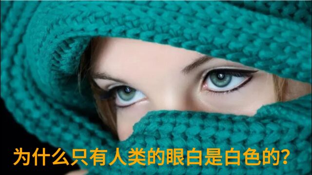 眼睛的秘密!为什么只有人类的眼仁是白色的?