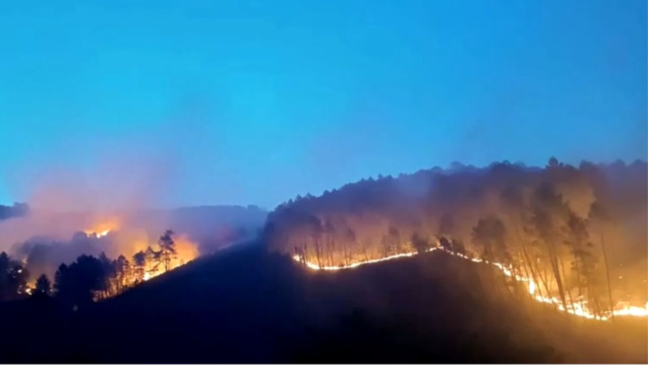 西班牙卡塞雷斯省山林火灾持续蔓延