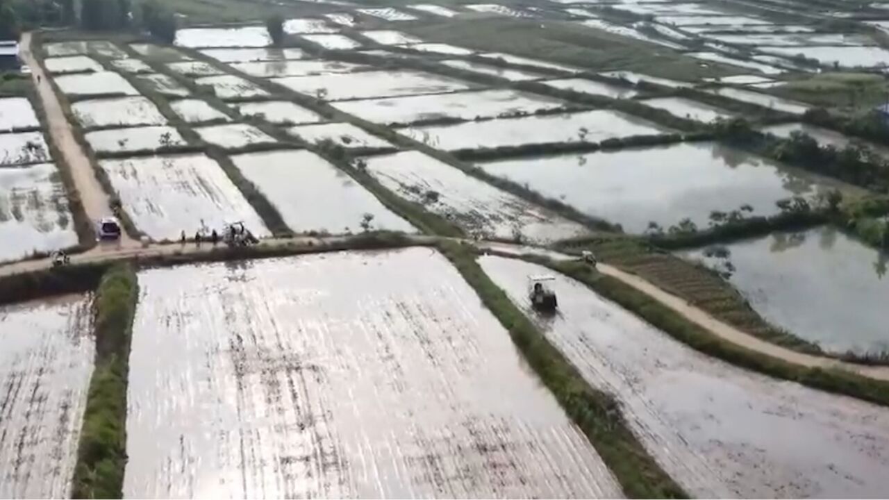 农田宜机化改造,提高丘陵地区水稻产量