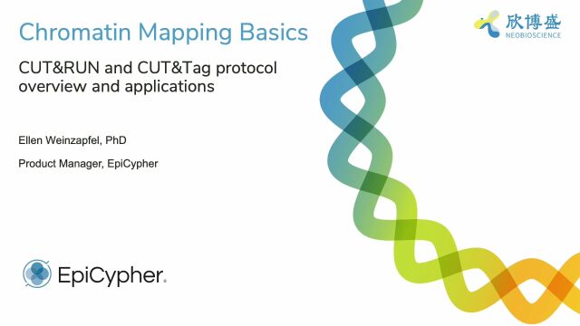 染色质分析基础:CUT&RUN和CUT&Tag的实验流程及应用