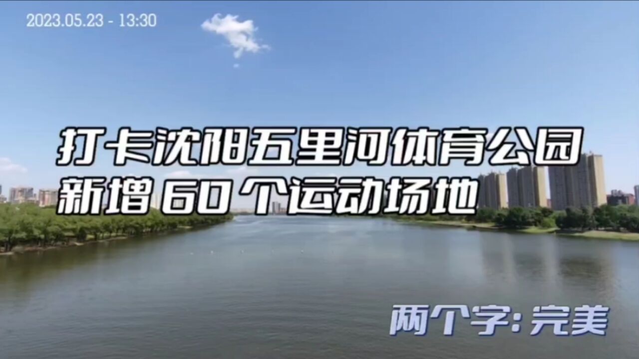 打卡沈阳五里河体育公园,新增60个运动场地,两个字:完美!