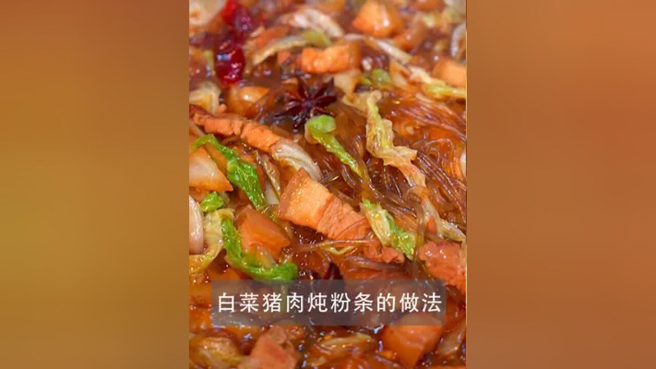 白菜猪肉炖粉条,经典的美味佳肴,热气腾腾,口感丰富,绝对是秋冬季节餐桌上的首选!