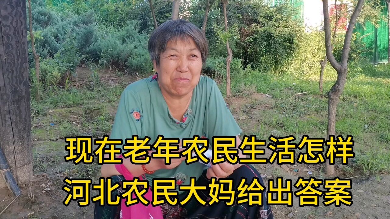 现在老年农民生活怎样?河北农民大妈给出答案!