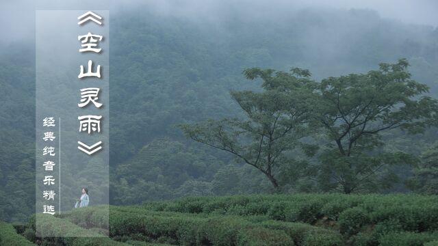 经典纯音乐筝箫曲《空山灵雨》古朴典雅,空灵宁静,清新飘逸