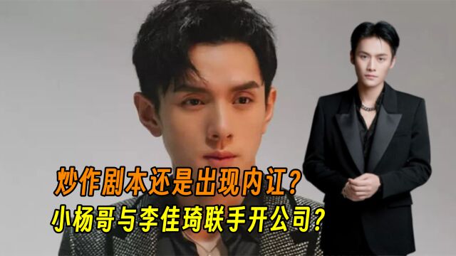 小杨哥联手李佳琦成立合资公司,明面吵架背后合伙做生意?为了消费者的仨瓜俩枣煞费苦心?