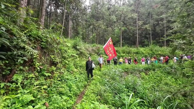 夏季徒步:穿越溆浦县三江镇龙泉山风景区.摄制:跋涉者.