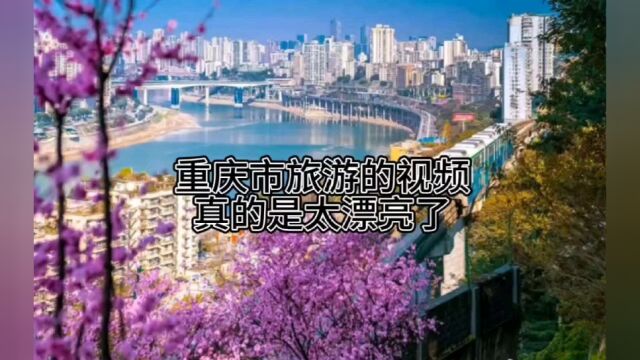 重庆市旅游的视频真的是太漂亮了