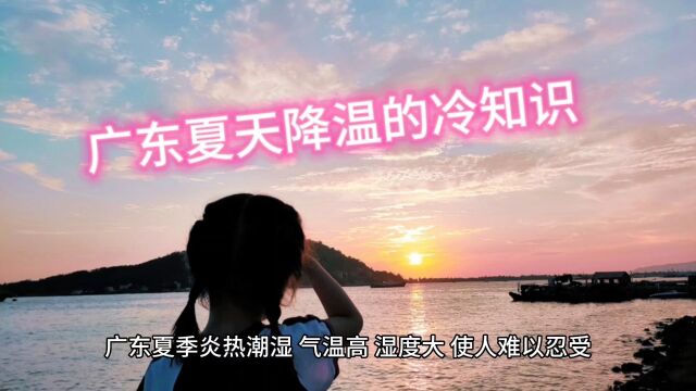 广东夏天降温的冷知识