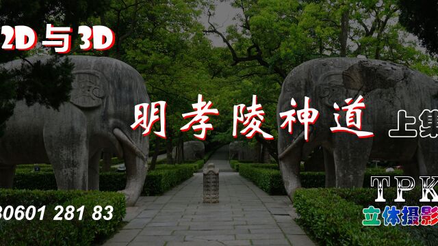 明孝陵神道(2D与3D)上集