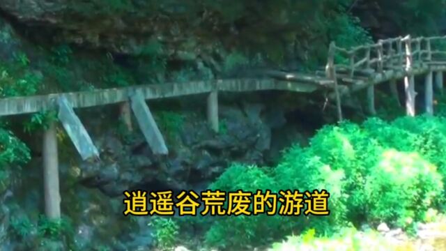 逍遥谷沿溪全程建成栈道,遇山洪栈道毁,路亦绝痛哉