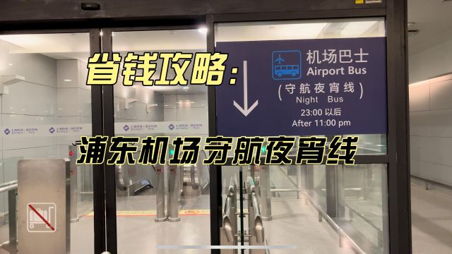 半夜到浦东机场怎么省钱?很多人不知道守航夜宵线大巴可轻松去市区