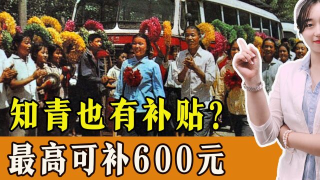 知青也有补贴?是真的,最高可补600元,看看你能领多少?