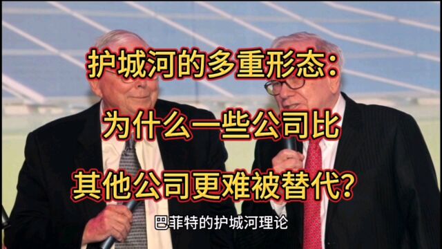 护城河的多重形态:为什么一些公司比其他公司更难被替代?