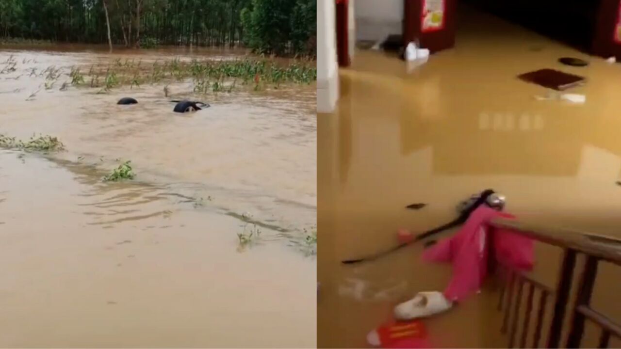 广西玉林突降暴雨致多个乡镇被淹,气象台曾发布暴雨橙色预警