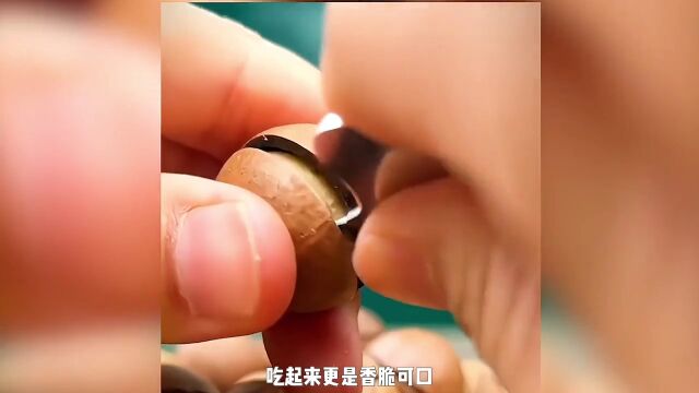 揭秘夏威夷果加工厂,用这种方法,制作出美味的夏威夷果