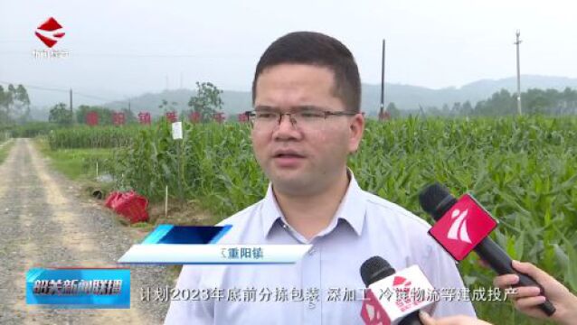 比增5.7%!这个区跑出发展“加速度”