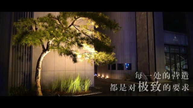 冶都桃源里夜景