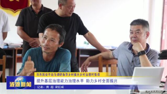 刘杰到安平白马调研指导乡村振兴乡村治理