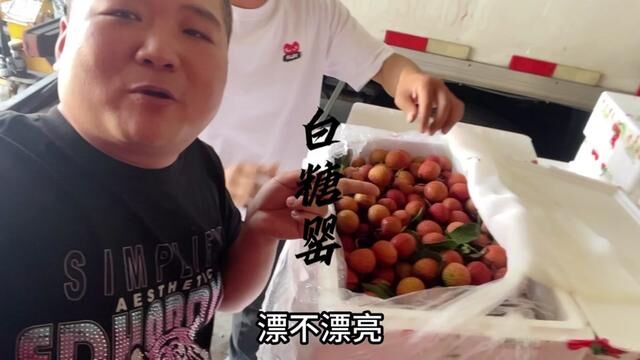 白糖罂荔枝 大家知道在荔枝中排行第几.#奋斗的水果人 #无荔枝不夏天