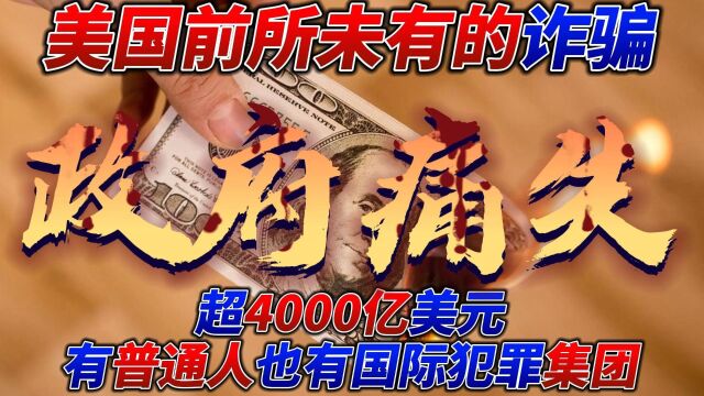 超4000亿美元,美国前所未有的诈骗,有普通人,也有国际犯罪集团