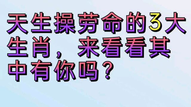 天生操劳命的三大生肖,来看看其中有你吗?