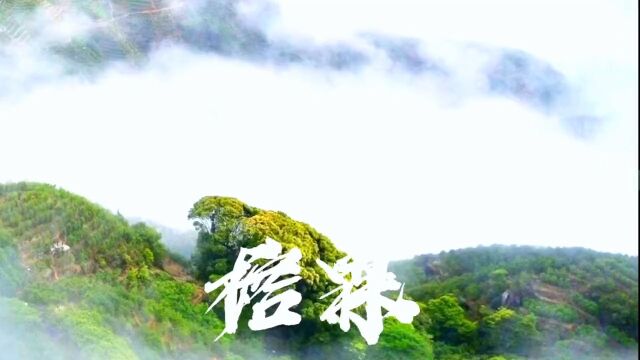 广东榕霖农业有限公司,茶叶均采自海拔800多米高山上纯天然无污染的茶树